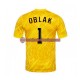 Camisa Masculina Eslovênia Goleiro Jan Oblak 1 Euro 2024 Jogo 1 Amarelo manga curta